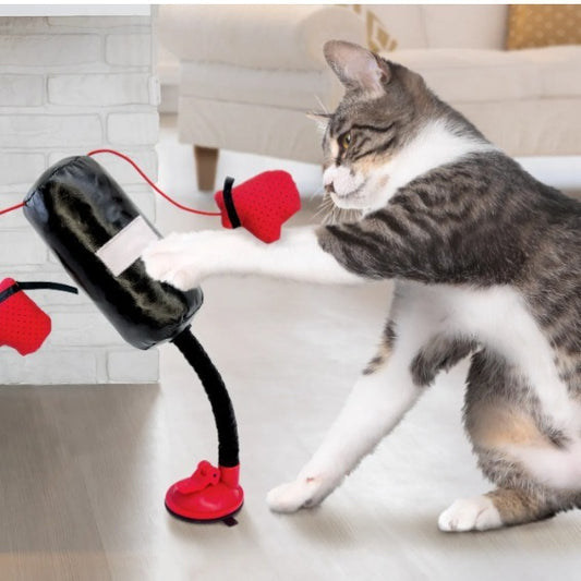 Mobile Cat Boxing Toy