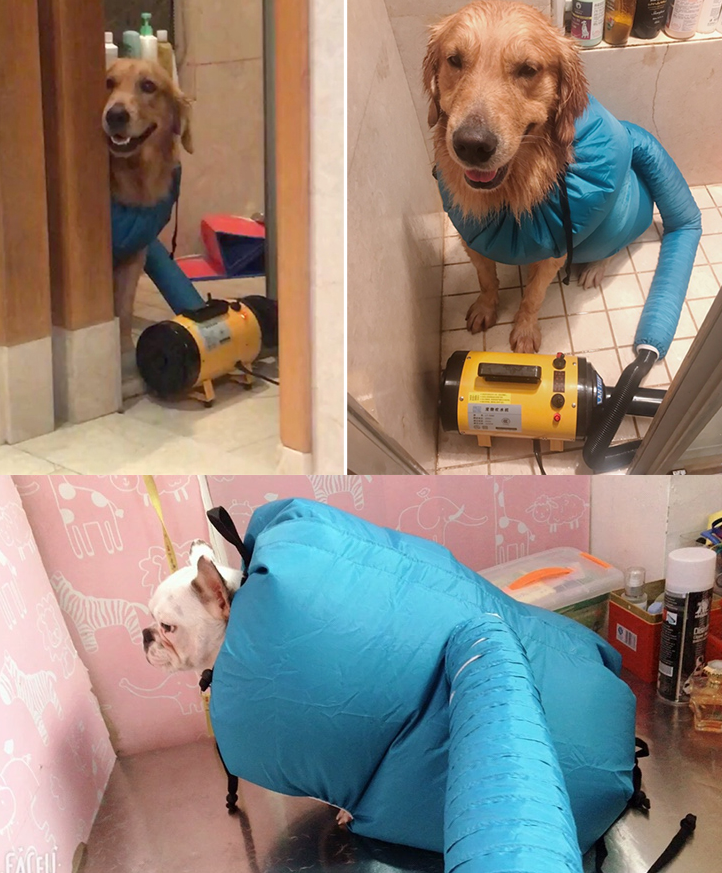 FurryMate Drying Box