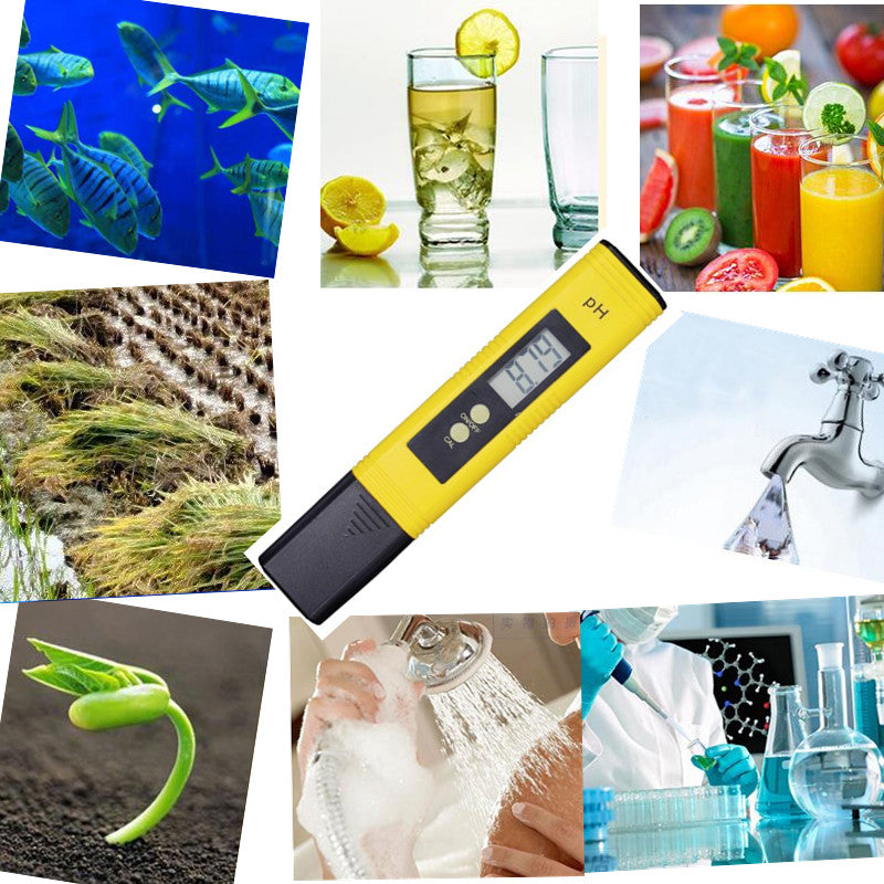 Compact Precision pH Meter for Water Quality