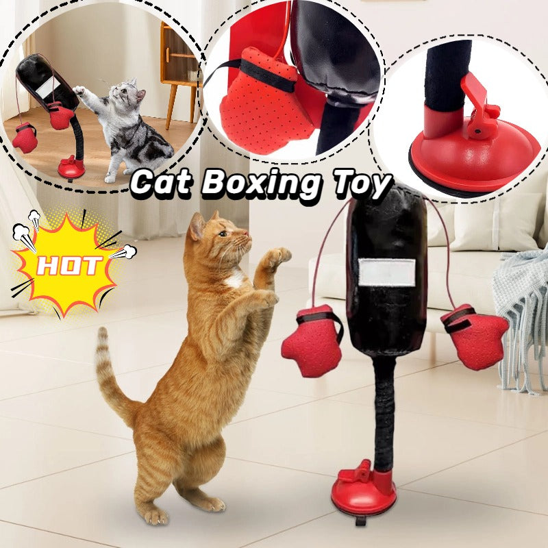 Mobile Cat Boxing Toy