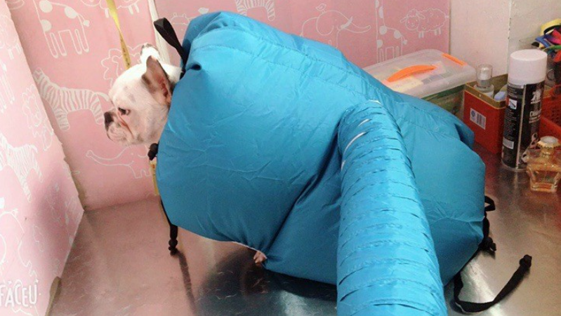 FurryMate Drying Box